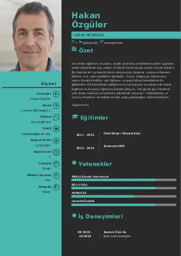 cv indir
